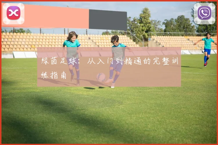 绿茵足球：从入门到精通的完整训练指南