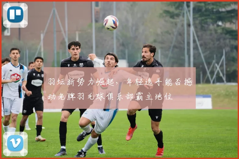 羽坛新势力崛起，年轻选手能否撼动老牌羽毛球俱乐部霸主地位